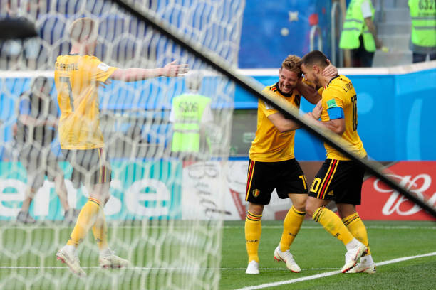 瓦伦西亚目 瓦伦西亚目