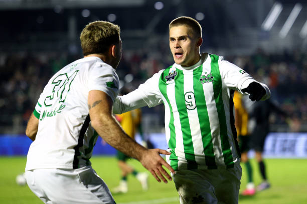 明星效应 明星效应