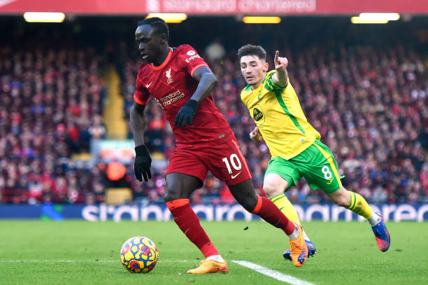 弗拉霍维奇 弗拉霍维奇